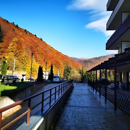 Serenity Suite Sinaia Eksteriør billede