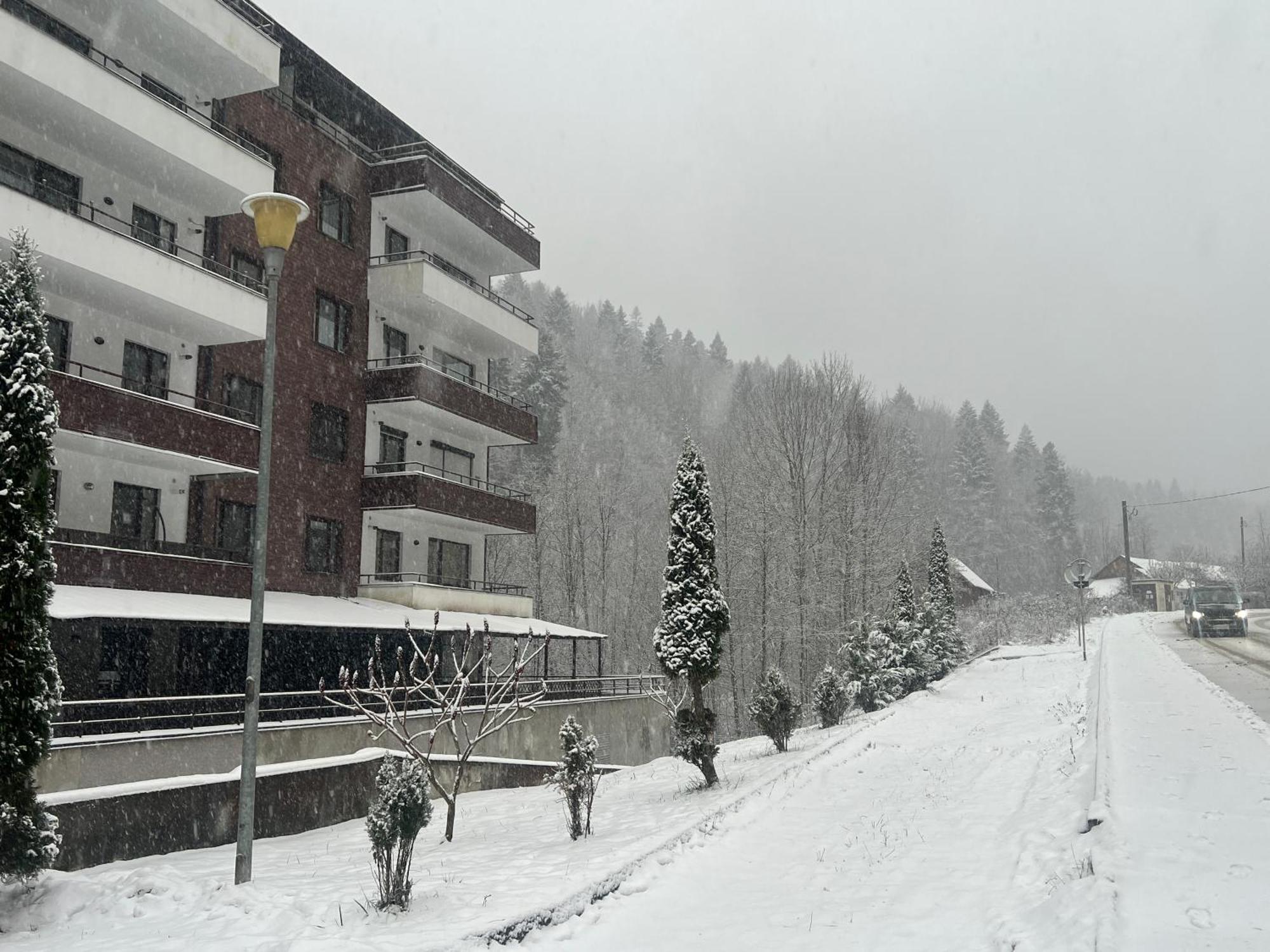 Serenity Suite Sinaia Eksteriør billede